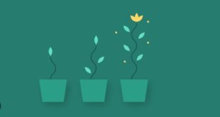 Unleashing the Potential: How to Be Grow Law Firms Successfully