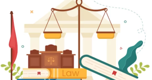 Understanding the Role of Legal Services
