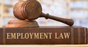 The Power of Hiring an Employment Lawyer