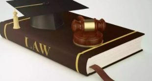 Optimizing Your Legal Career: Which Subject Is Best for a Lawyer?